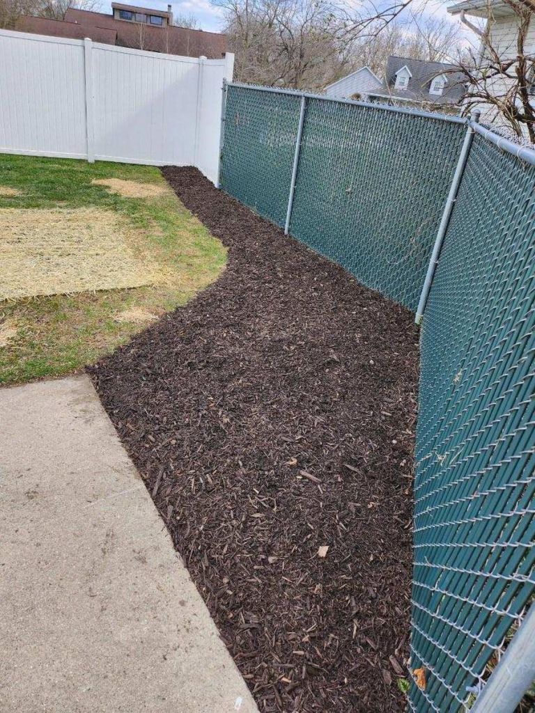 After Edging and Mulching